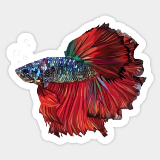 Betta Fish Sticker